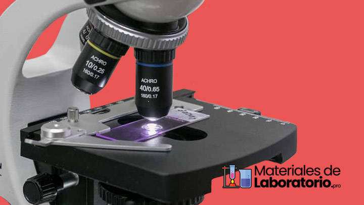 Microscopio Electrónico - ¿Qué es, funciona y para sirve? 🥇